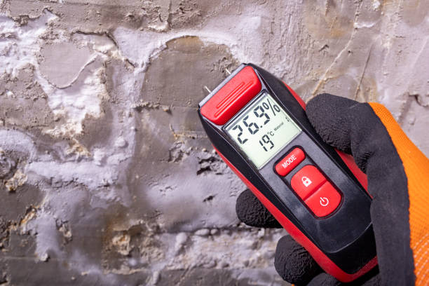Best Mold Damage Repair  in Roslyn, NY